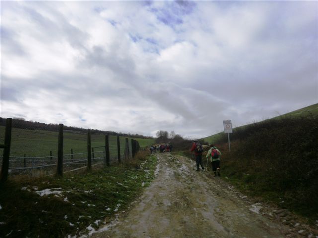 [P1130010.JPG]