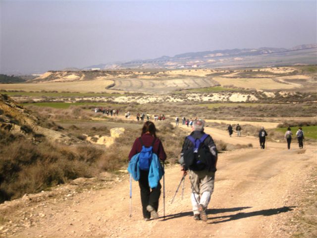 [P2030126.JPG]