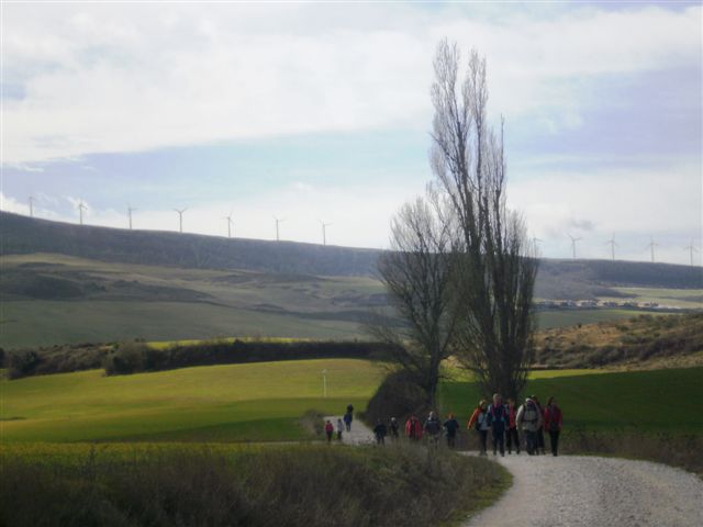 [P2240093.JPG]