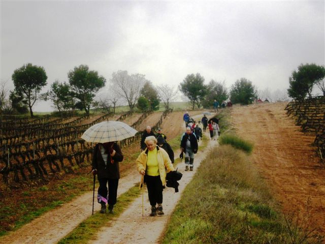 [P3030029.JPG]