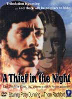 Como ladrón noche película