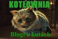 Craft Blogs - BlogCatalog Blog Directory
