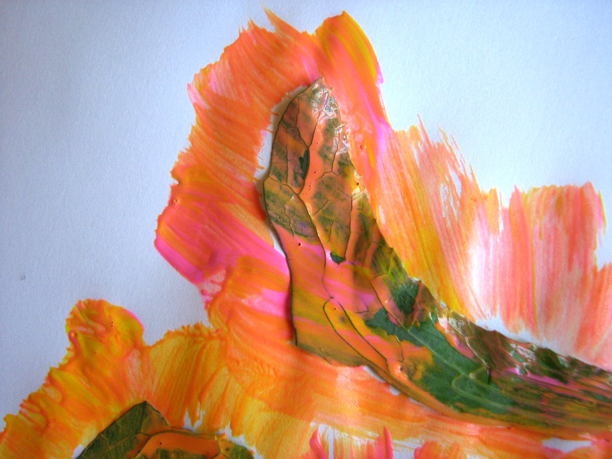 [IMG_5169.JPG]