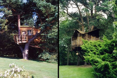 Ağaç ev tasarımları Awesome+Amazon+Tree+Houses+4
