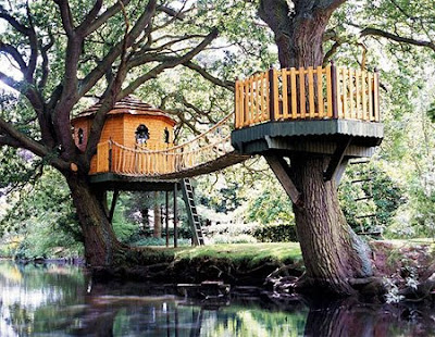 Ağaç ev tasarımları Awesome+Amazon+Tree+Houses+3