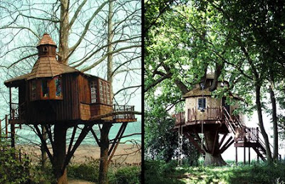 Ağaç ev tasarımları Awesome+Amazon+Tree+Houses+2