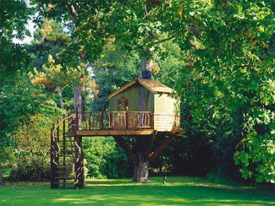 Ağaç ev tasarımları Awesome+Amazon+Tree+Houses+9