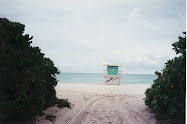 A Beach in Miami