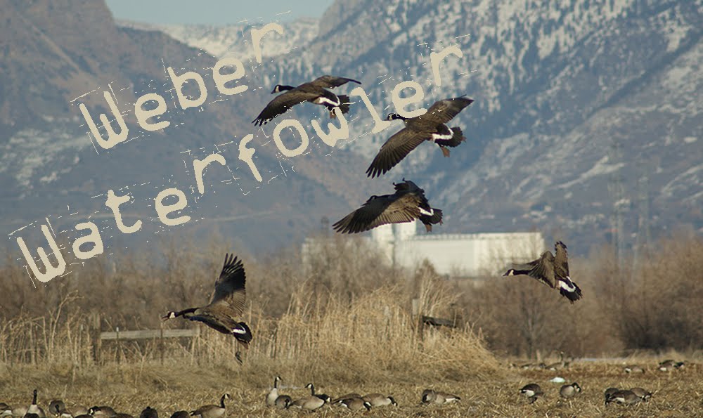 Weber Waterfowler