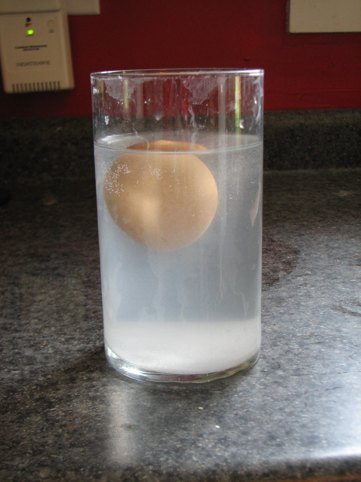 Science Matters Density Float an Egg