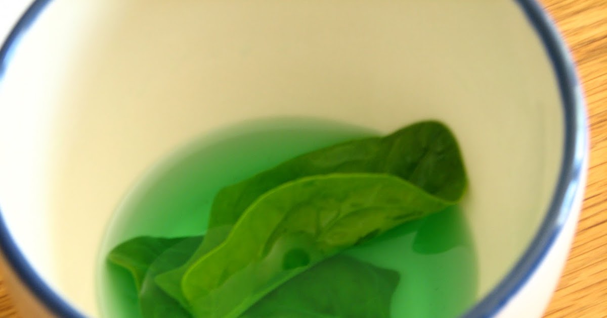 Science Matters Starches in Plants