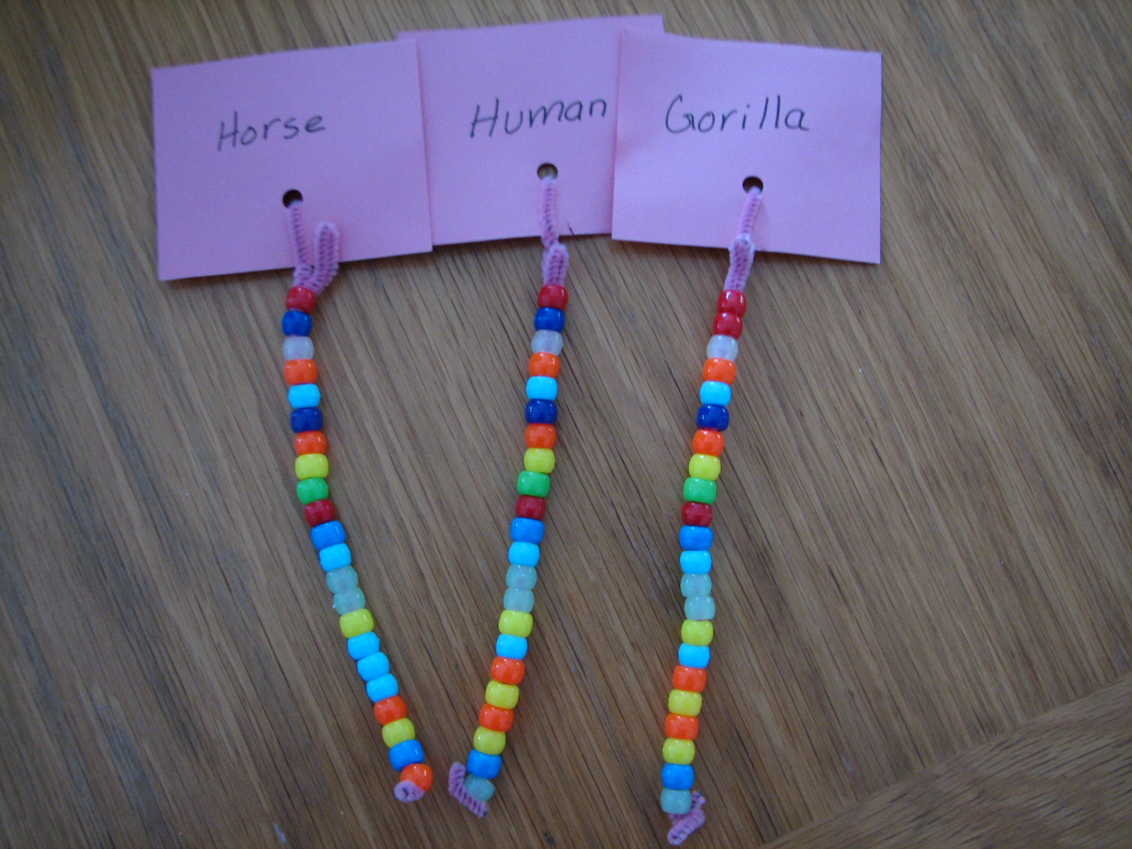 Science Matters Comparing Amino Acids & DNA