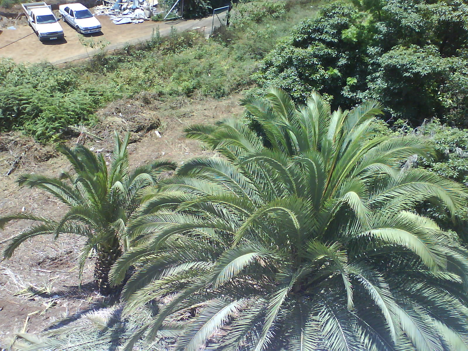 [DSC02845.JPG]