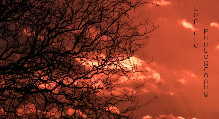 Explore photography: Places to photograph - reviewed