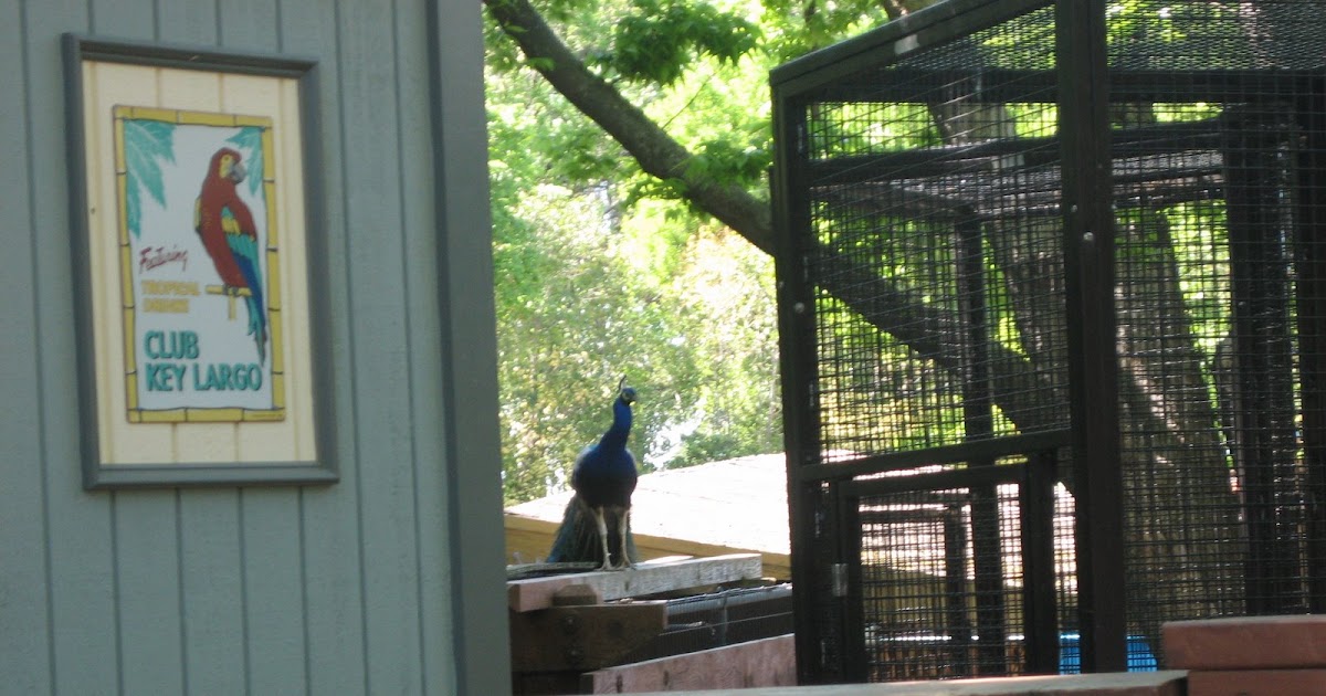 Sacramento area parks blog Folsom Zoo & Folsom Valley Train Ride