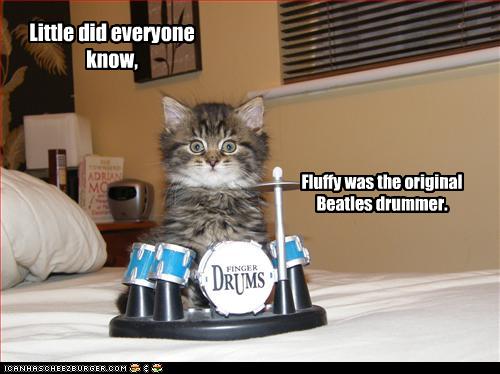 Mulier Fortis: 2009-11-29