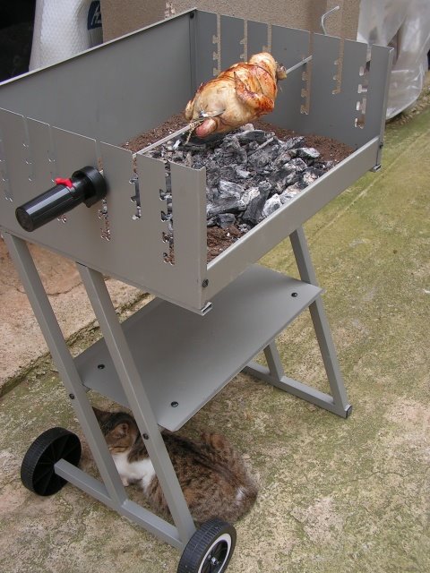 [курица+с+моторчиком.JPG]