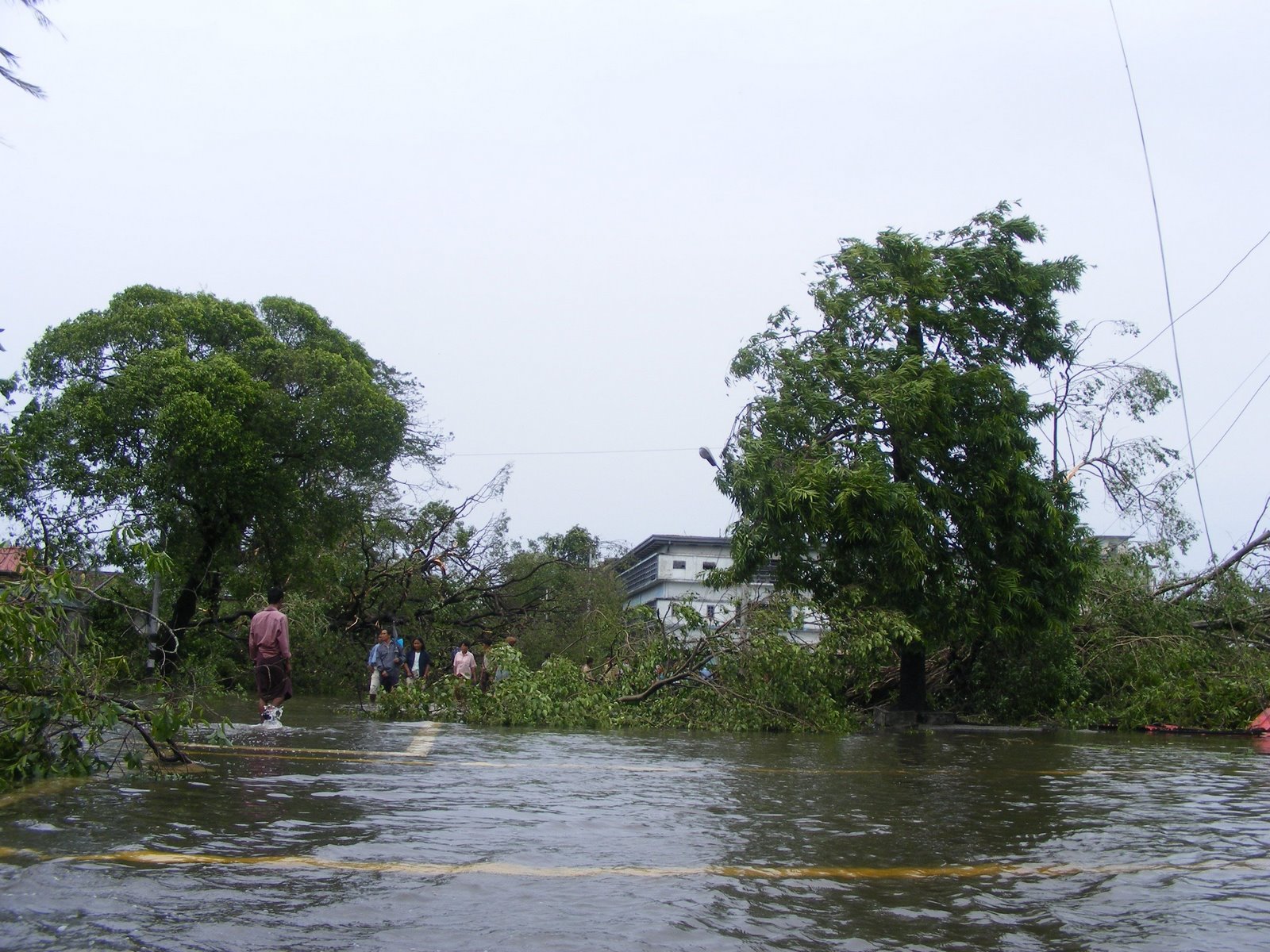 [image003.jpg]