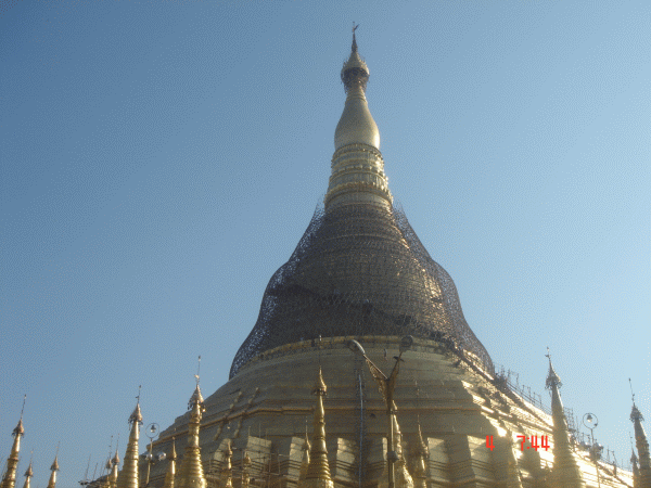 [DSC00420.gif]