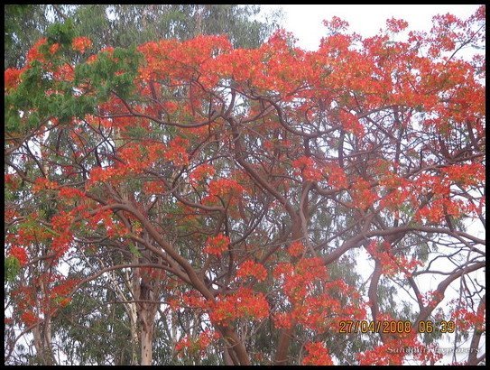 [cr_img_3754-fullinit.jpg]