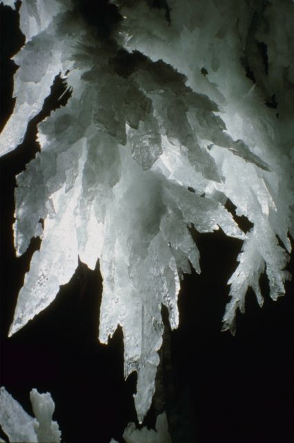 [P0300581.JPG]