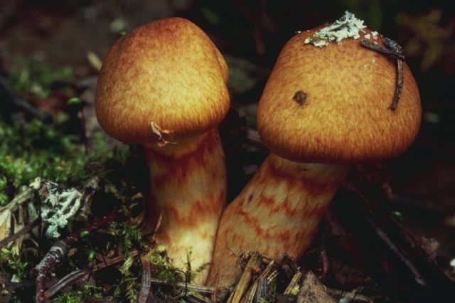 [P0300439.JPG]