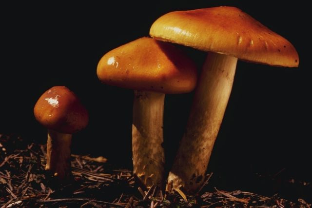 [P0300440.JPG]