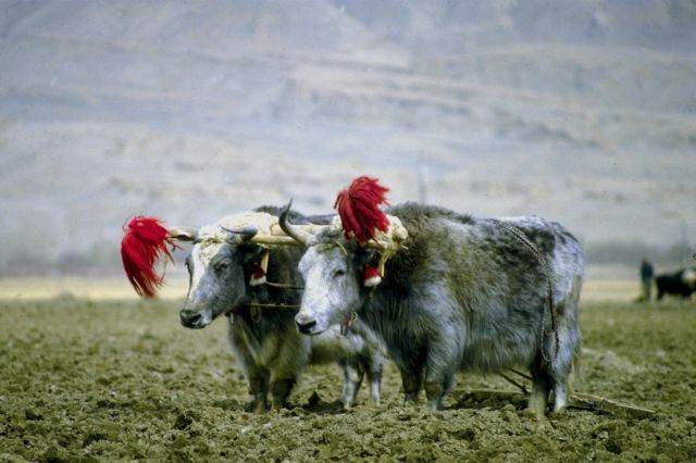 [P0300534.JPG]