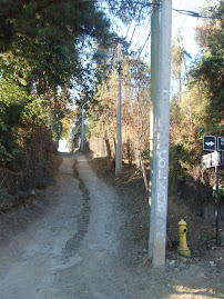 SECTOR EL ALTO (CALLE MADRESELVA, SECTOR NO ASFALTADO, NI ILUMINADO)