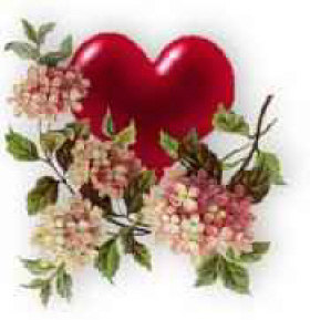 [coracao%20flor.jpg]