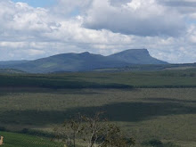 PAISAGEM DE ITAMARANDIBA