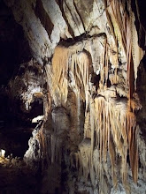 beuty cave