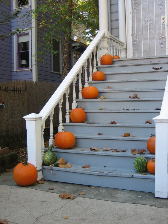 [20070106233102_img_1455_std.jpg]