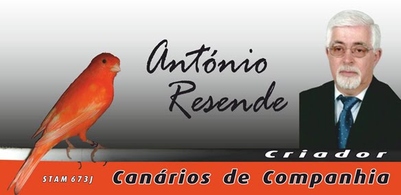 Canários António Resende