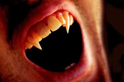 Do Vampires Exist?