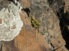 A day at Mount Clear
