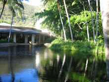 Swan pool