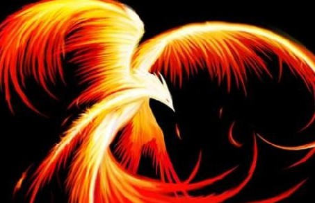 [fenix.jpg]