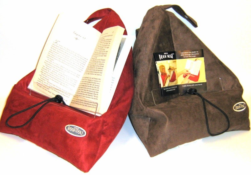 Mollie's Radical Reading Reviews: The Book Seat