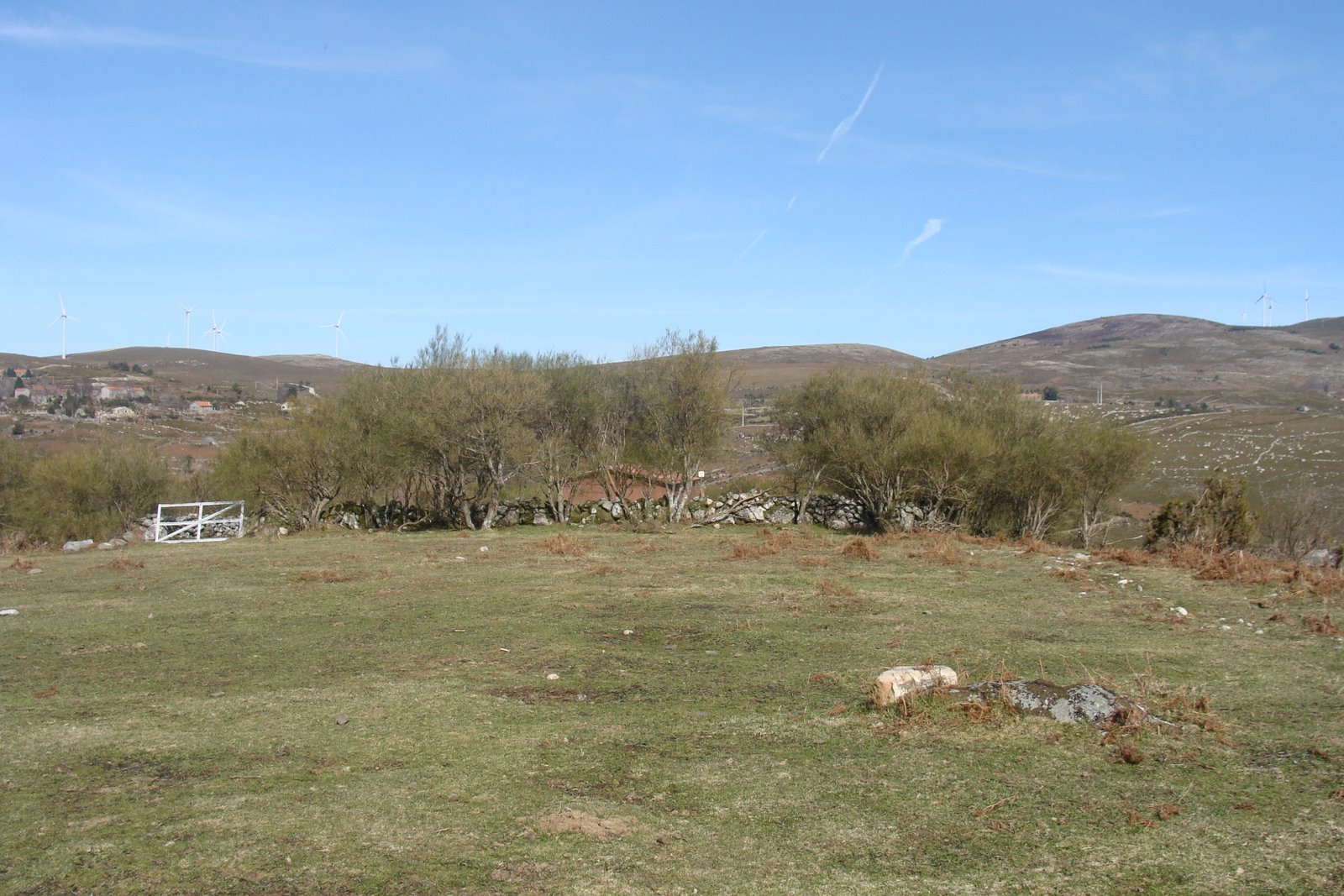 [DSC00345.JPG]