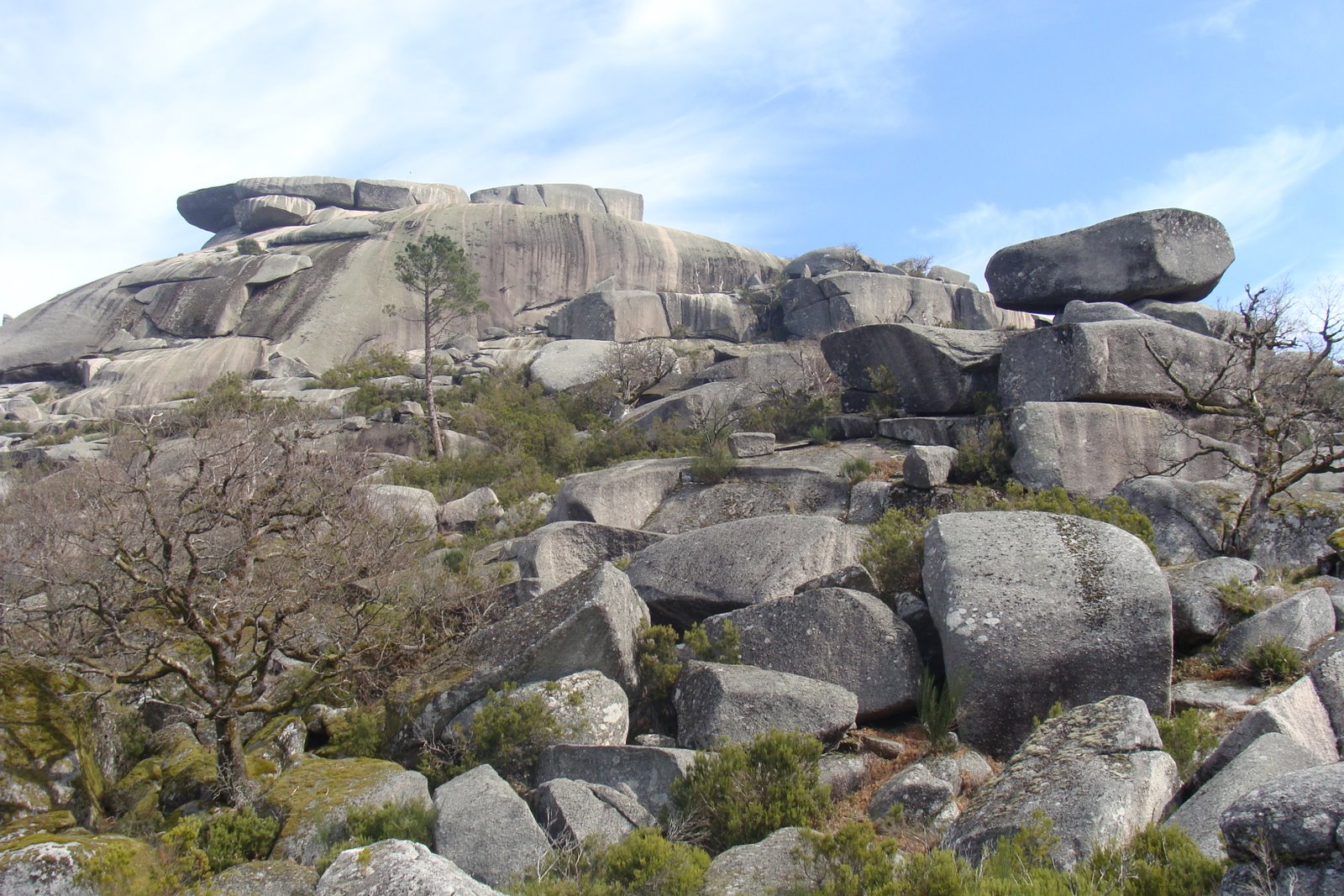 [DSC00425.JPG]