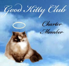 Good Kitty Club