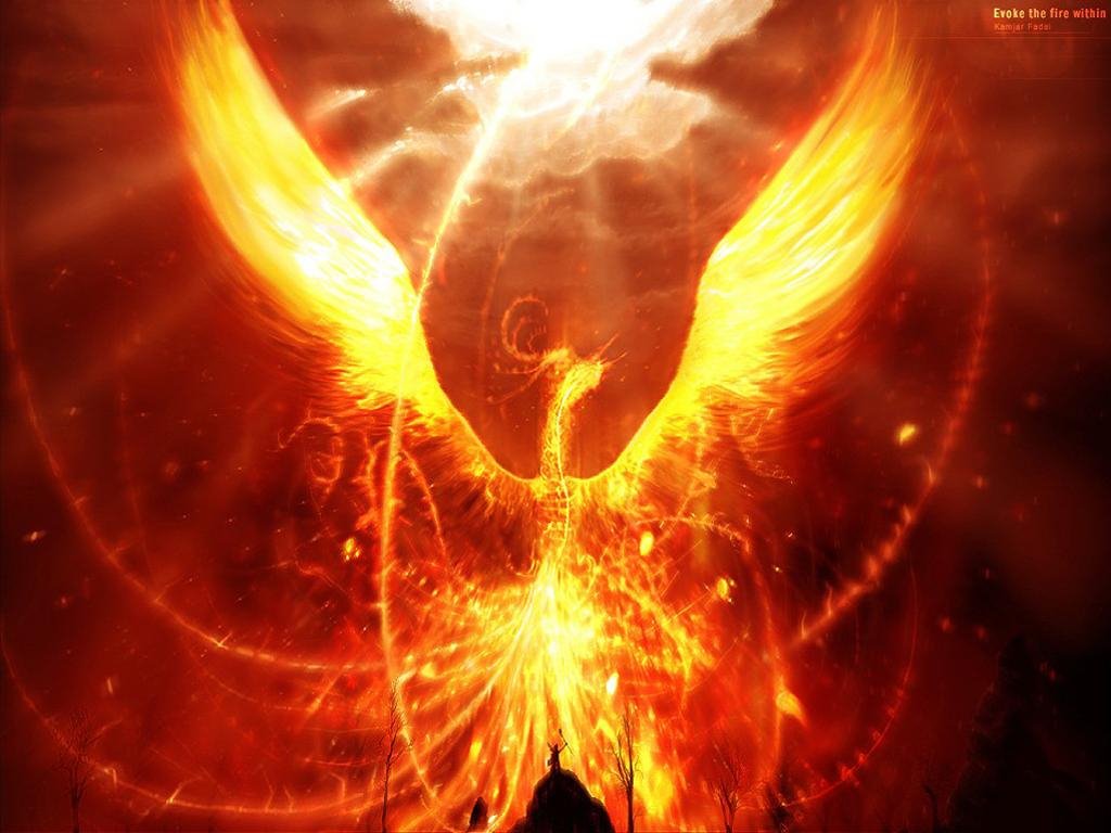 [phoenix.bmp]