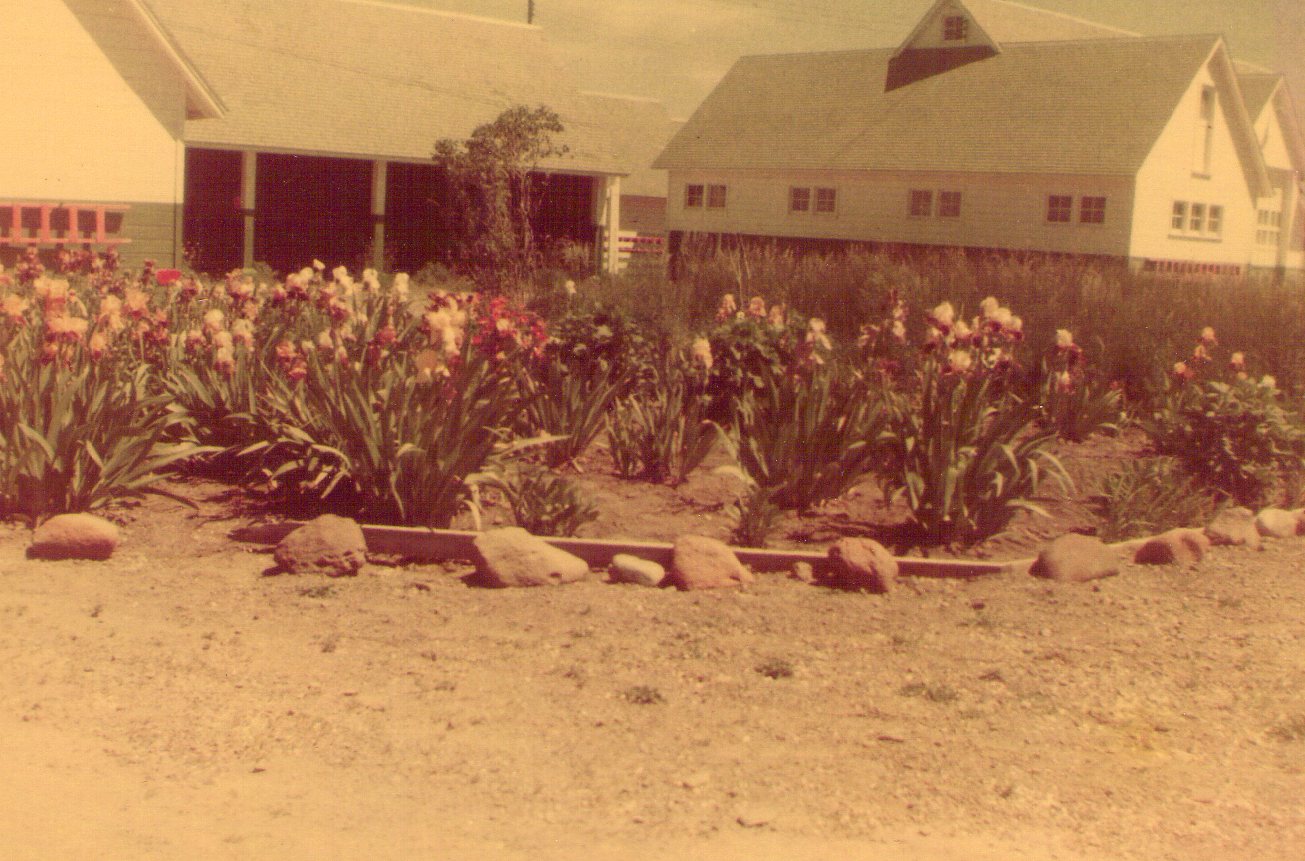 Karen's Blog Richards life at the Oxbow Ranch in Prarie City, Oregon