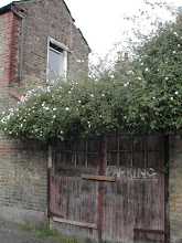 Clapham