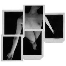 RE-VIEWING THE NUDE: POLAROID WORK PRINTS 1995