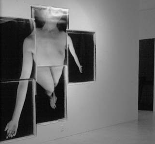 RE-VIEWING THE NUDE / REFUSING THE VIEW, 1995