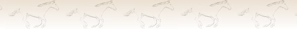 Horses Horses Horses