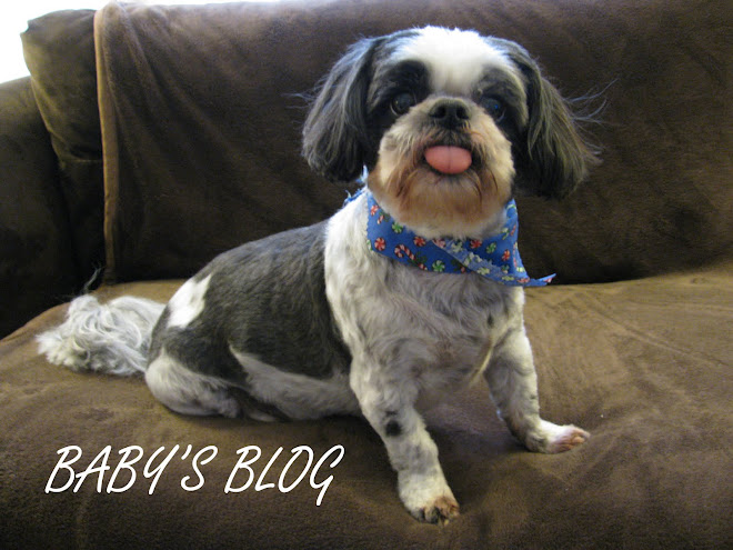 Baby's Blog