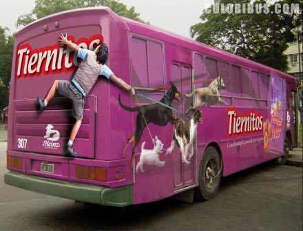 [onibus_tiernitos.jpg]